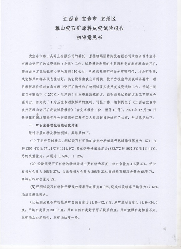 雅山瓷石矿初审意见书原件1